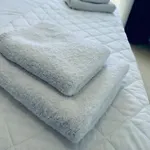 Hotel Mane