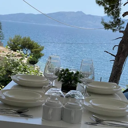 Mane Saranda